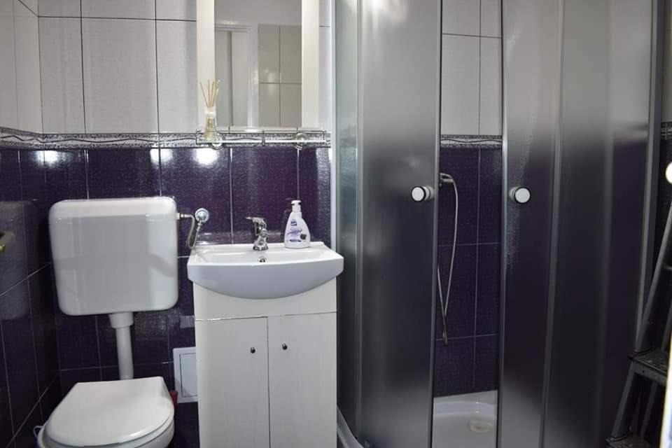 Bega Circumvalatiunii 1 Room Apartment Timisoara Esterno foto